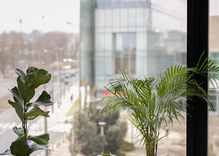 Apartmán Centro Design - Polwiejska *